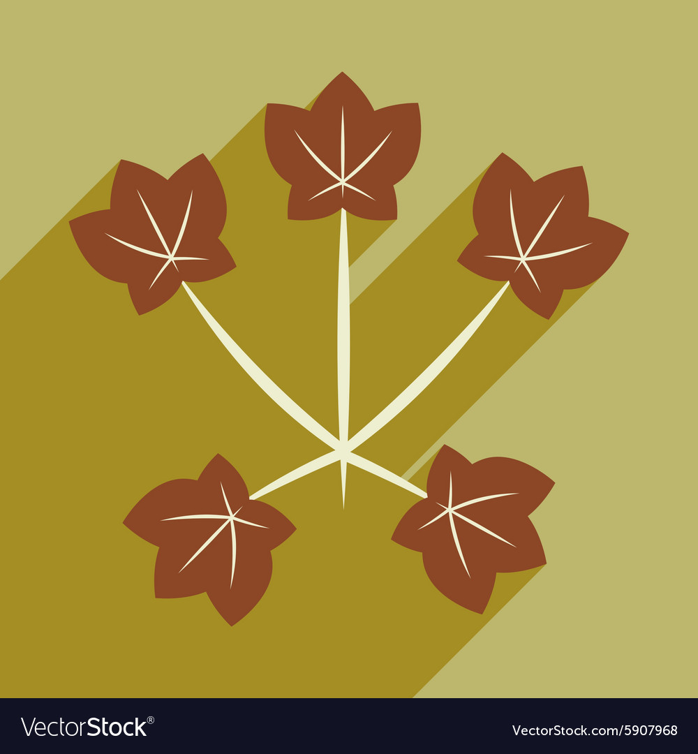 Flat with shadow icon and mobile application maple