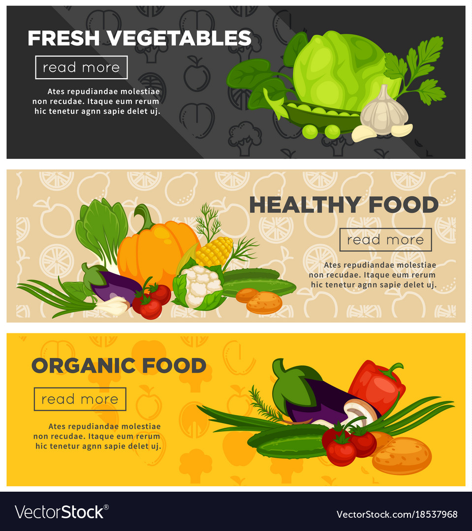 Healthy fresh vegetables organic vegetarian Vector Image