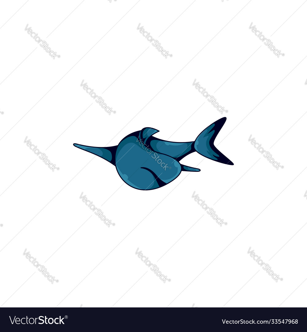 Shark design template