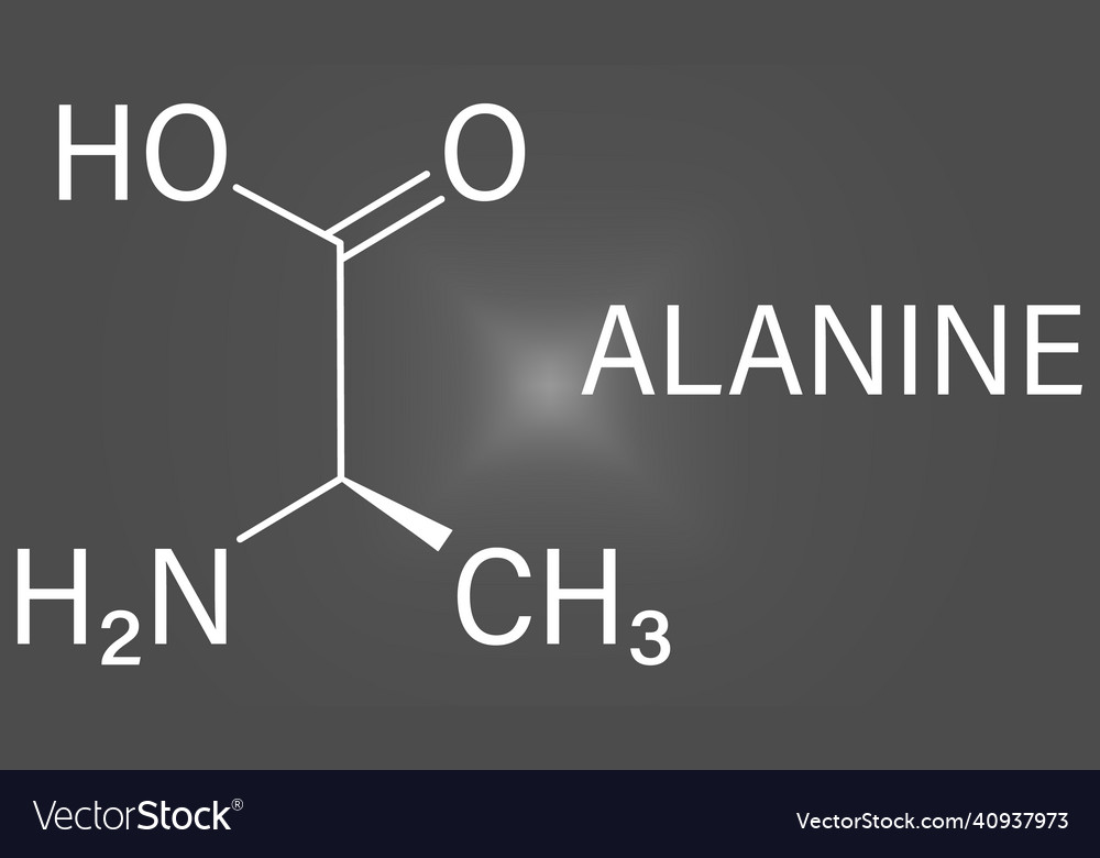 Alanin oder L-Alanin ala ein Aminosäuremolekül