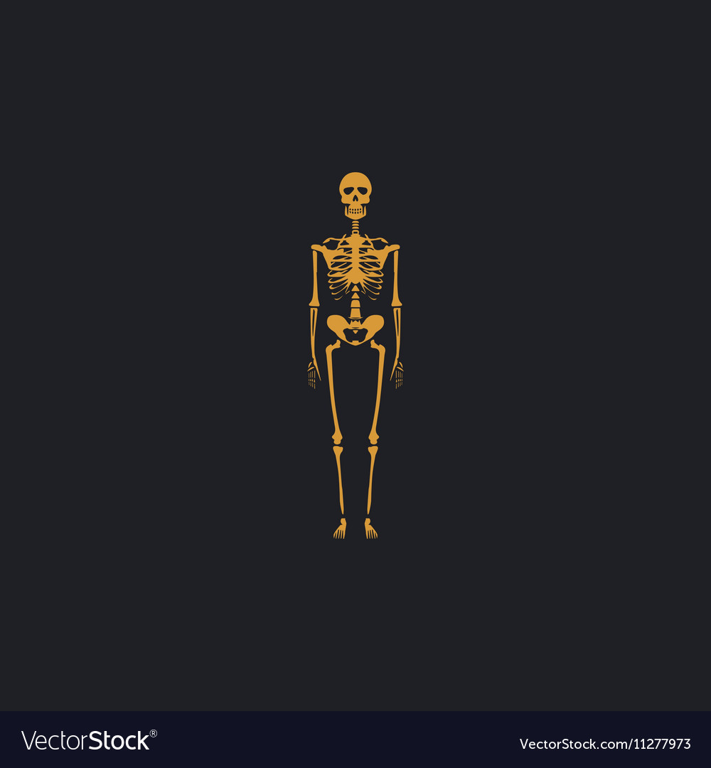 Skeleton computer symbol