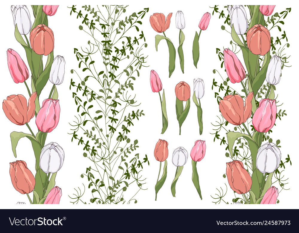 Tulip & Herb Border Pattern