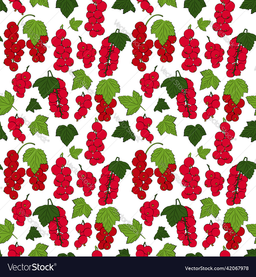 A set of seamless patterns current berries