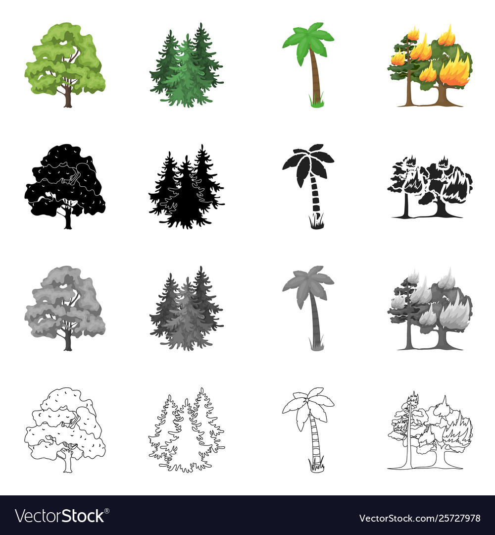 Design tree and forest icon collection