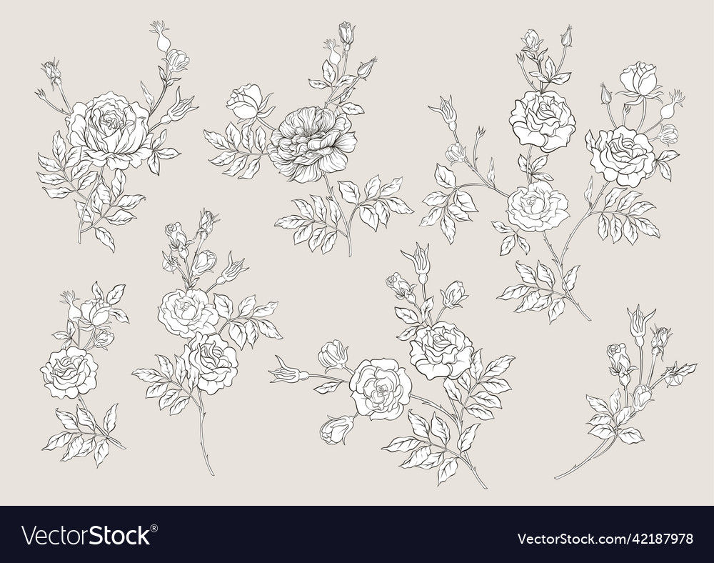 Rosenblüten auf Zweigen millefleurs trendy vector image Rosenblüten auf Zweigen millefleurs trendy