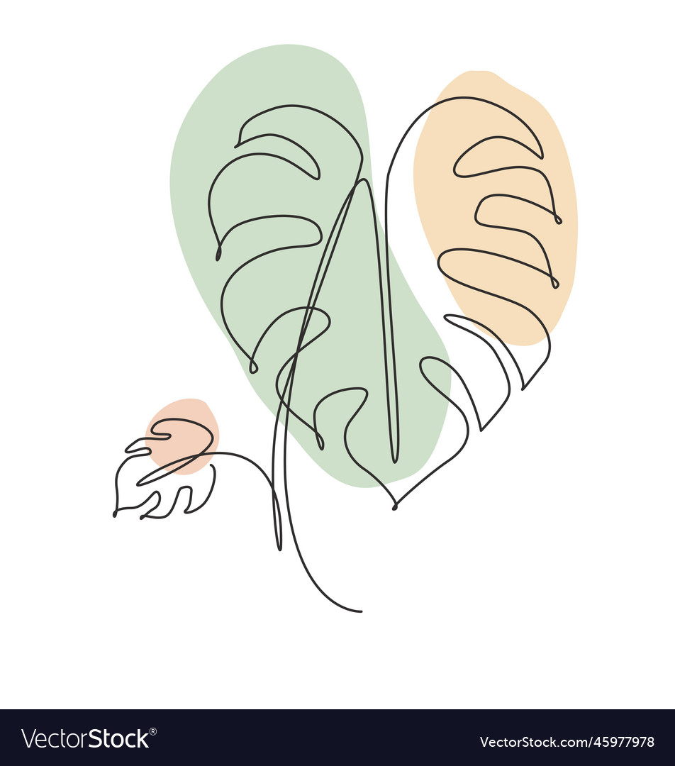 Single continuous line drawing minimal monstera