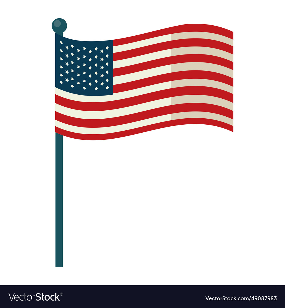 American flag national Royalty Free Vector Image