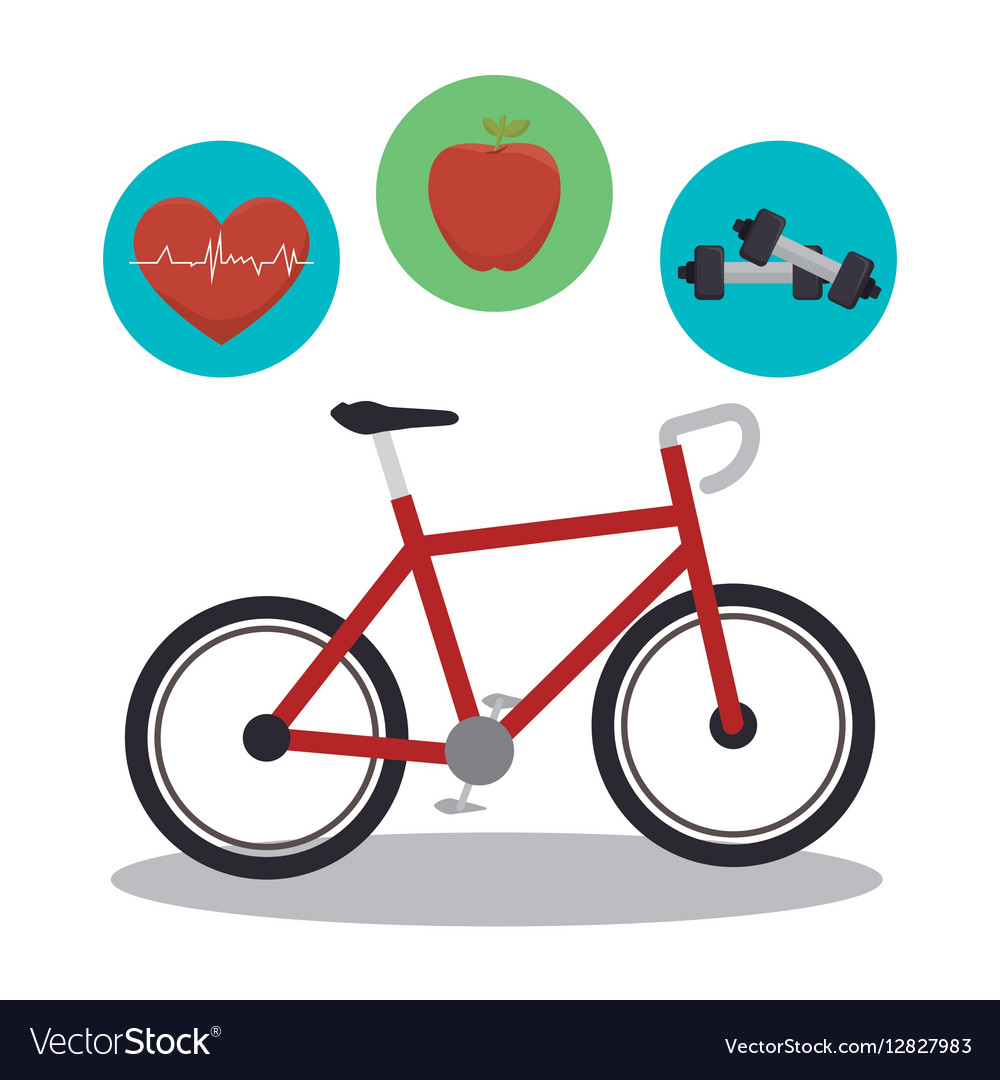 Bicycle sport isolated icon