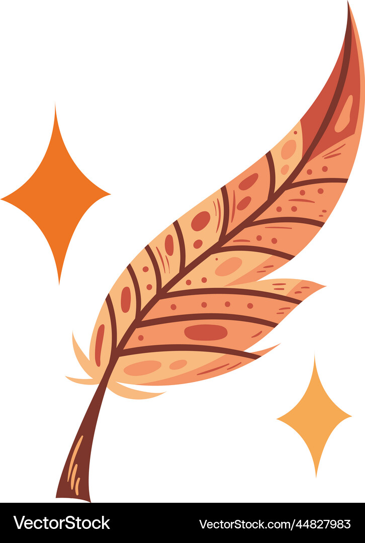 Feather bird boho style Royalty Free Vector Image