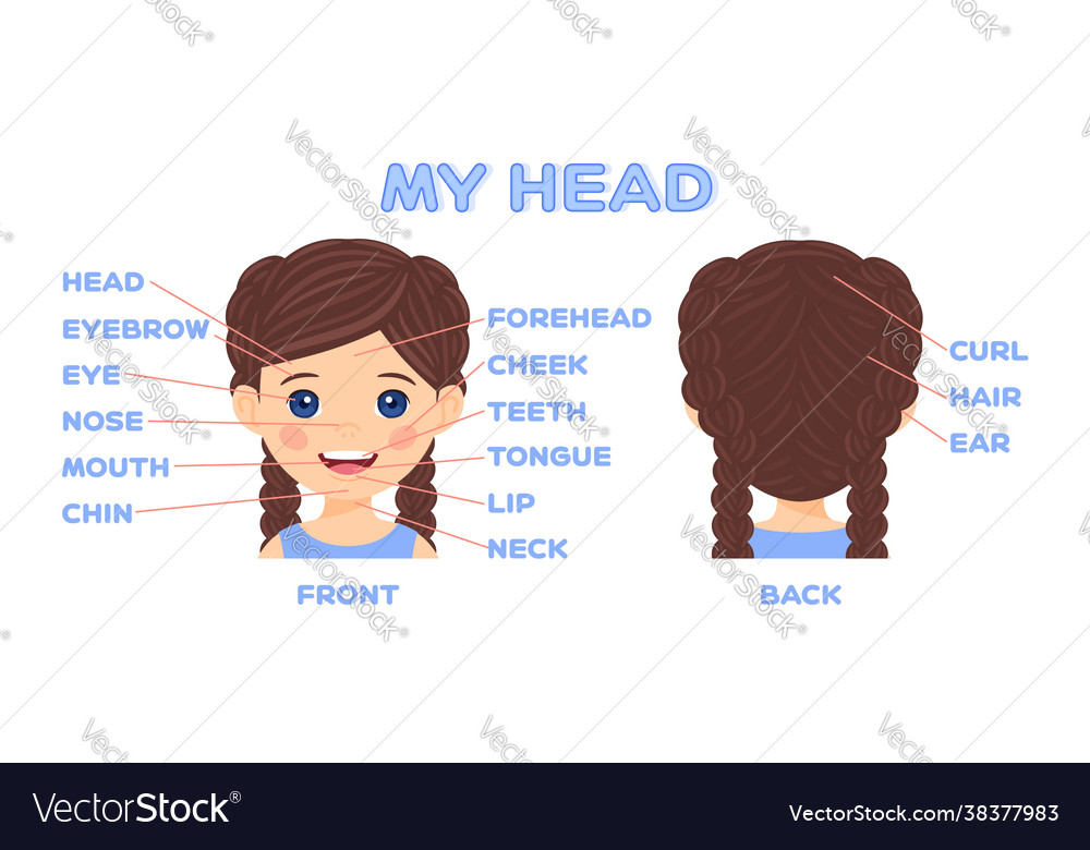 My head and face parts cartoon girl for learn game