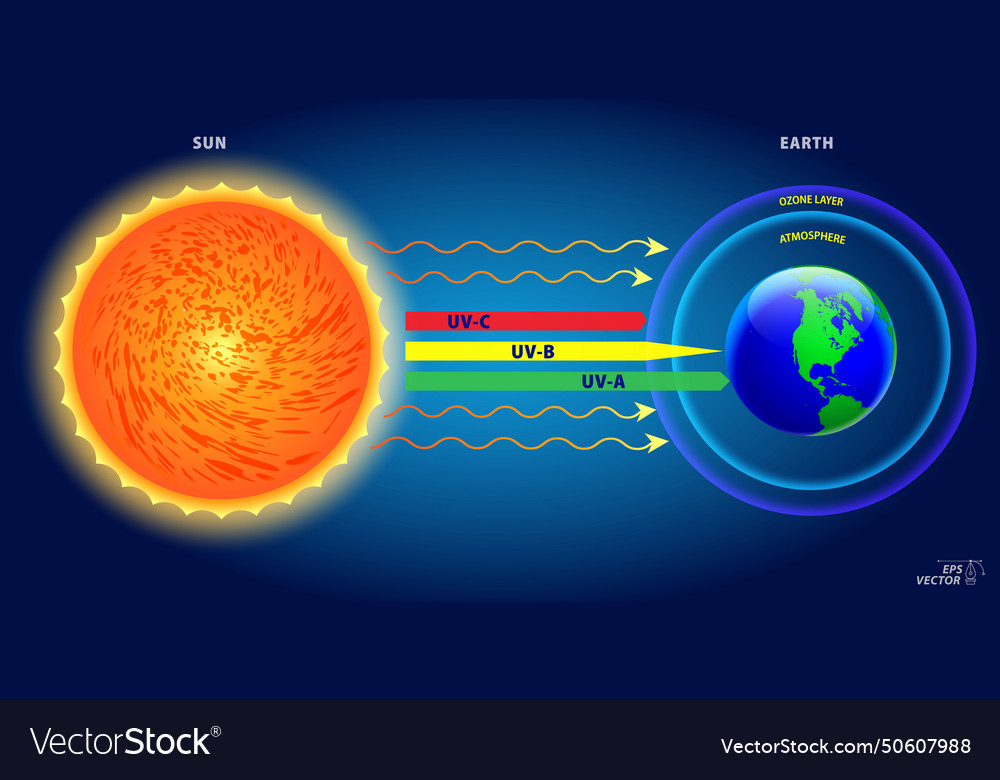 Diagram of ultraviolet uv a b and c from sun Vector Image