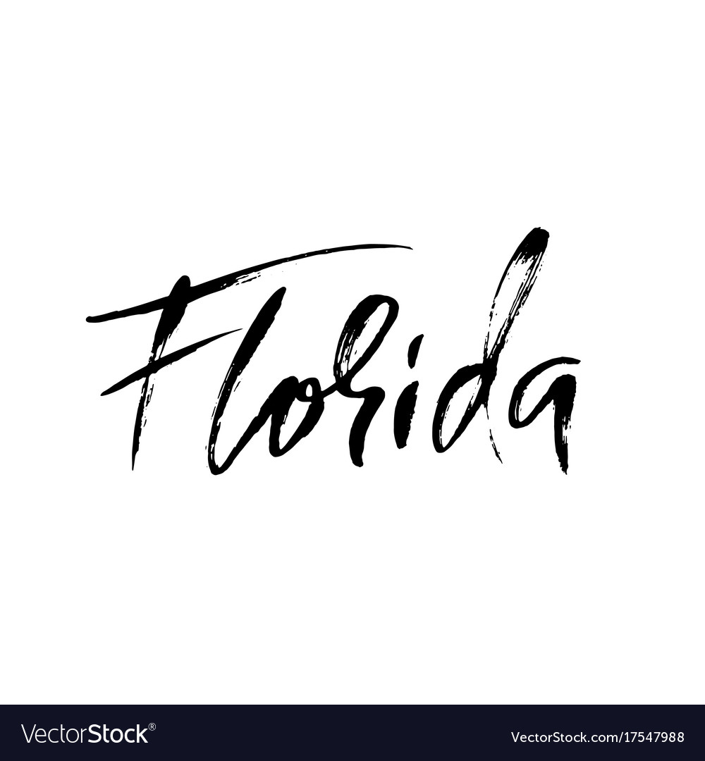 Florida modern dry brush lettering retro Vector Image