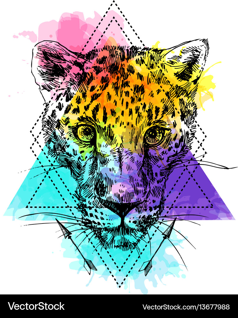 Hand-drawn leopard Royalty Free Vector Image - VectorStock