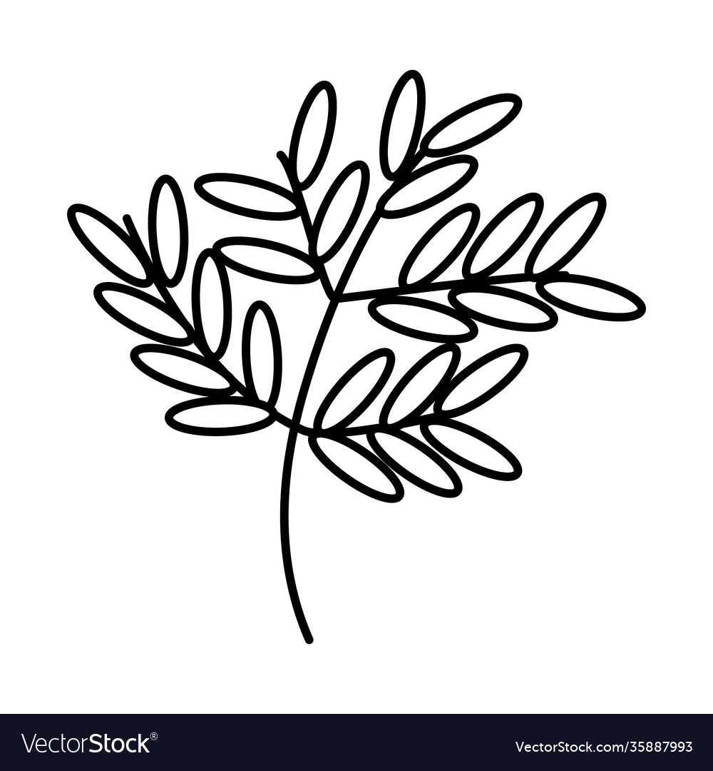 Branch with leaves icon line style