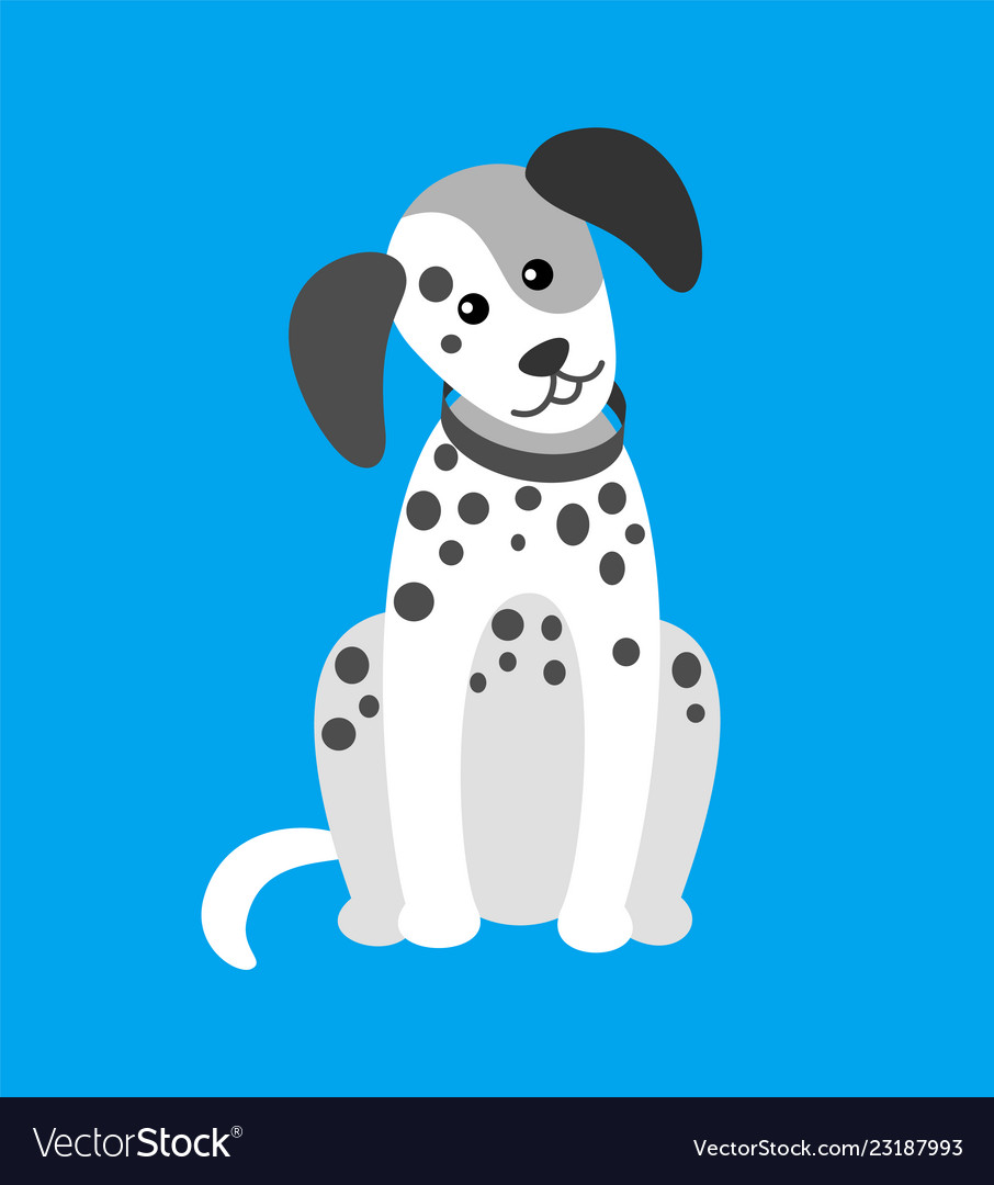 Dog puppy with spots canine wearing collar on neck