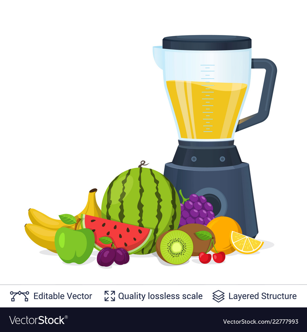 Fruit juice squeezer or blender kitchen appliance Vector Image