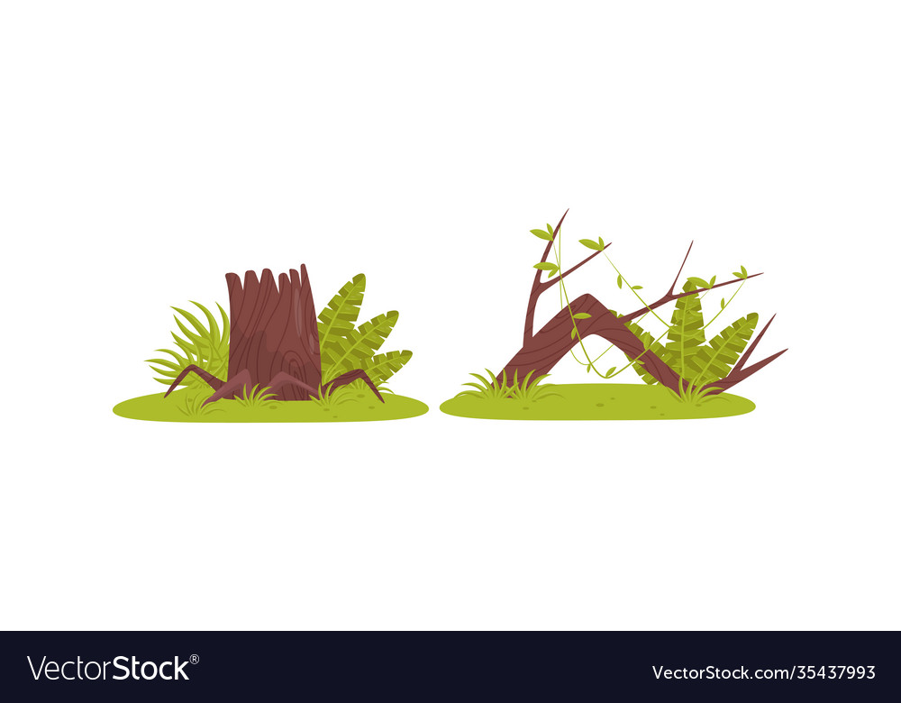 Tree stump with roots and log liana vector image Tree stump with roots and log liana