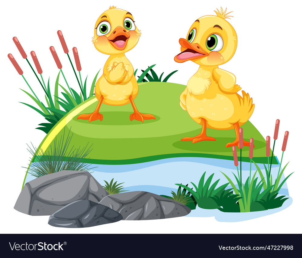 Cute ducks in the pond Royalty Free Vector Image