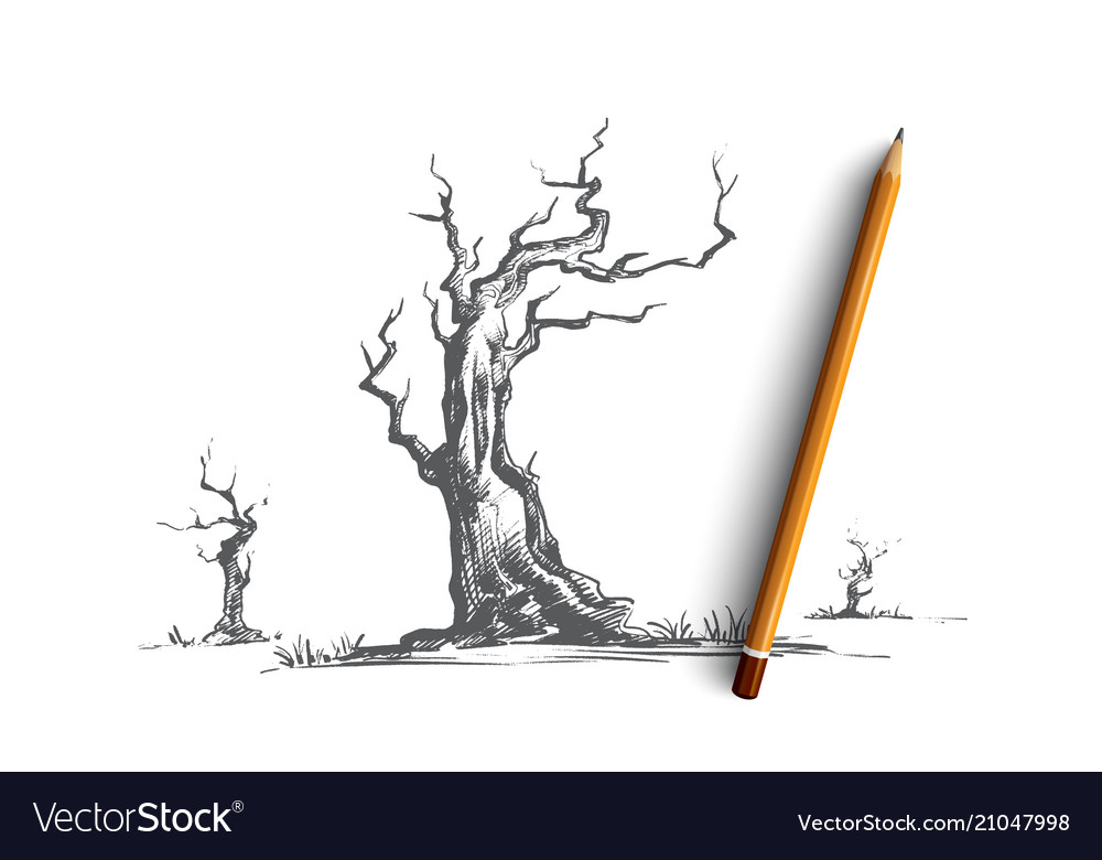 step by step how to draw a dead tree