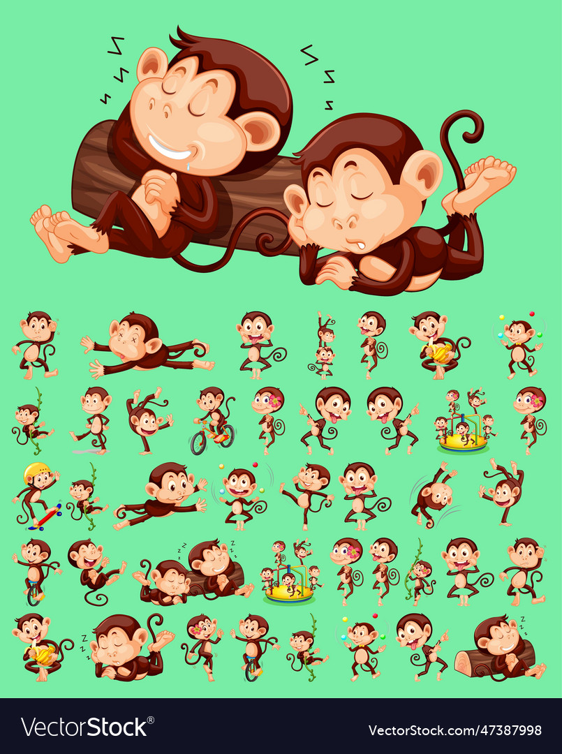 Set of monkey with difference pose character vector image Set of monkey with difference pose character