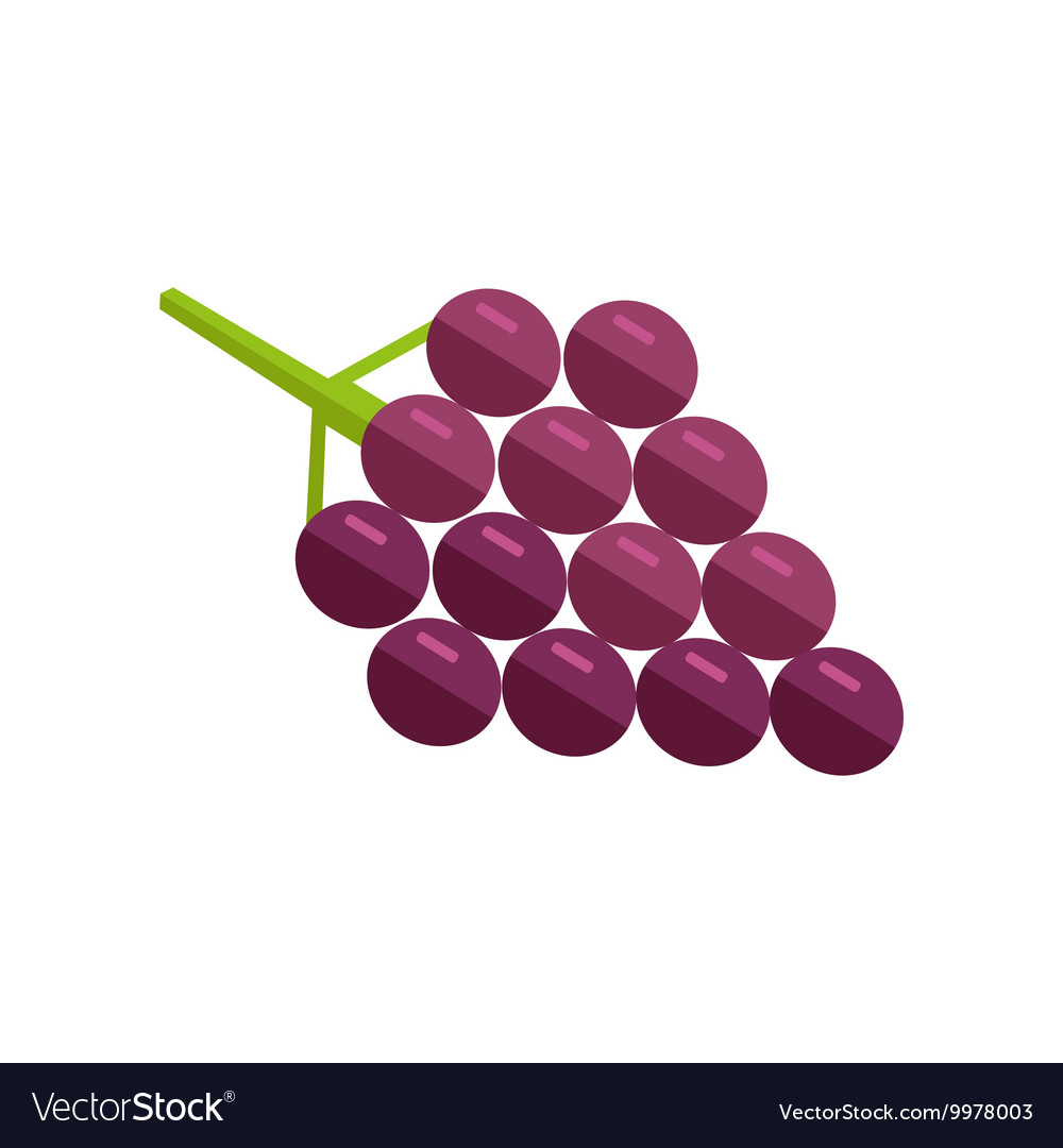 Grape in flat style design