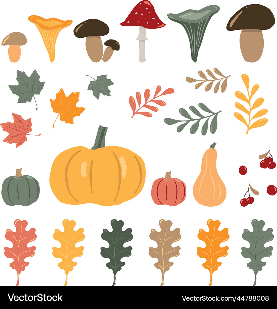 Set of an assorted autumn elements - pumpkins Vector Image