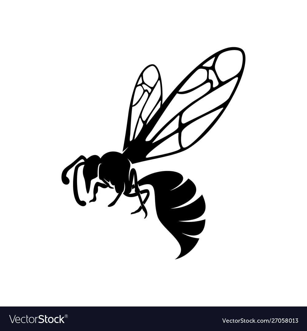 Bee logo design icon symbol template