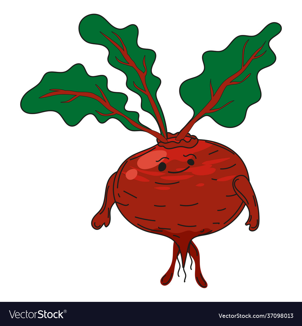 Beetroot hand dawn sketch cute character cartoon Vector Image Beetroot hand dawn sketch cute character cartoon Vector Image