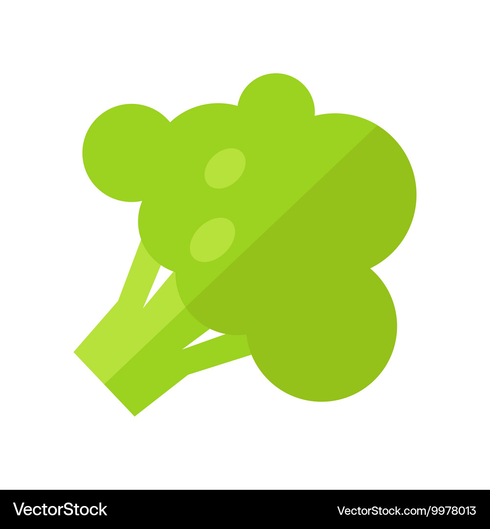 Broccoli in flat style design Royalty Free Vector Image