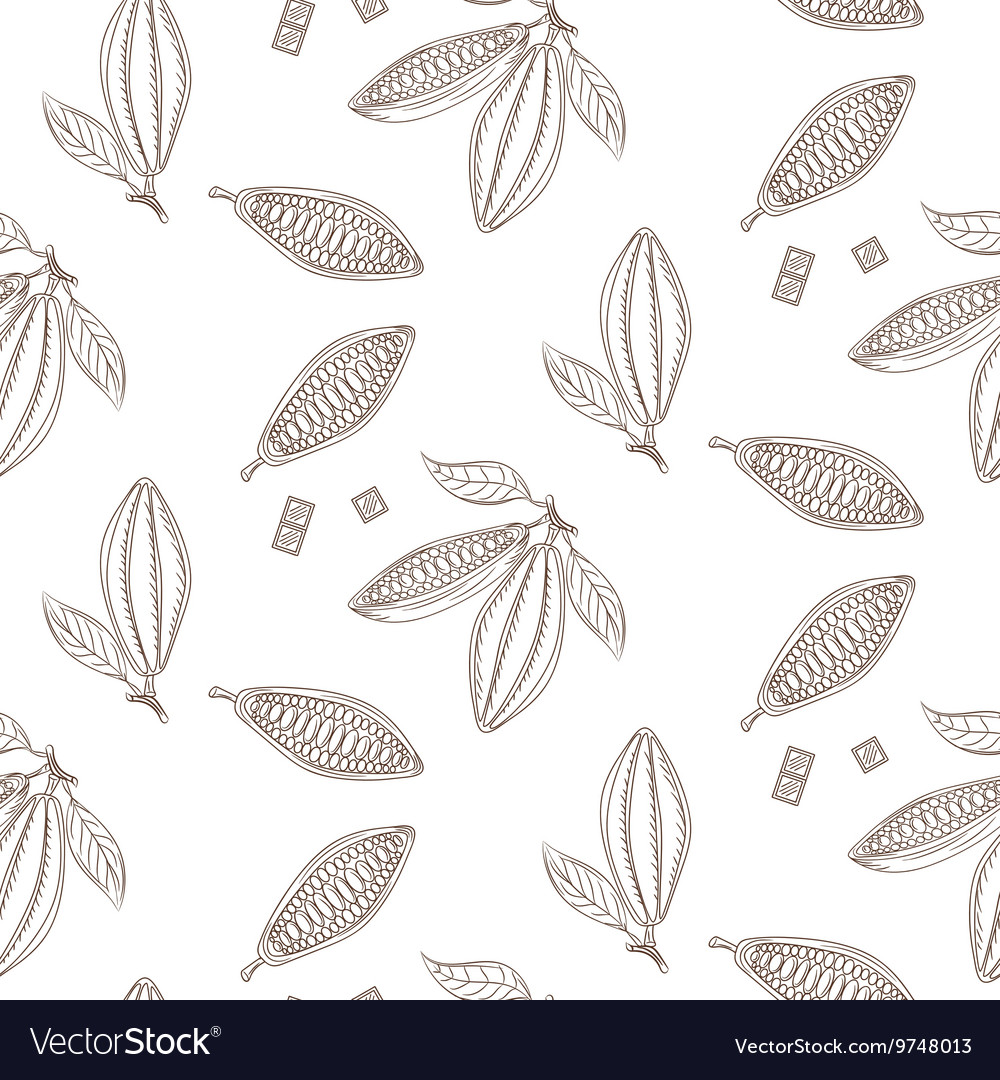 Cocoa beans outline seamless pattern chocolate