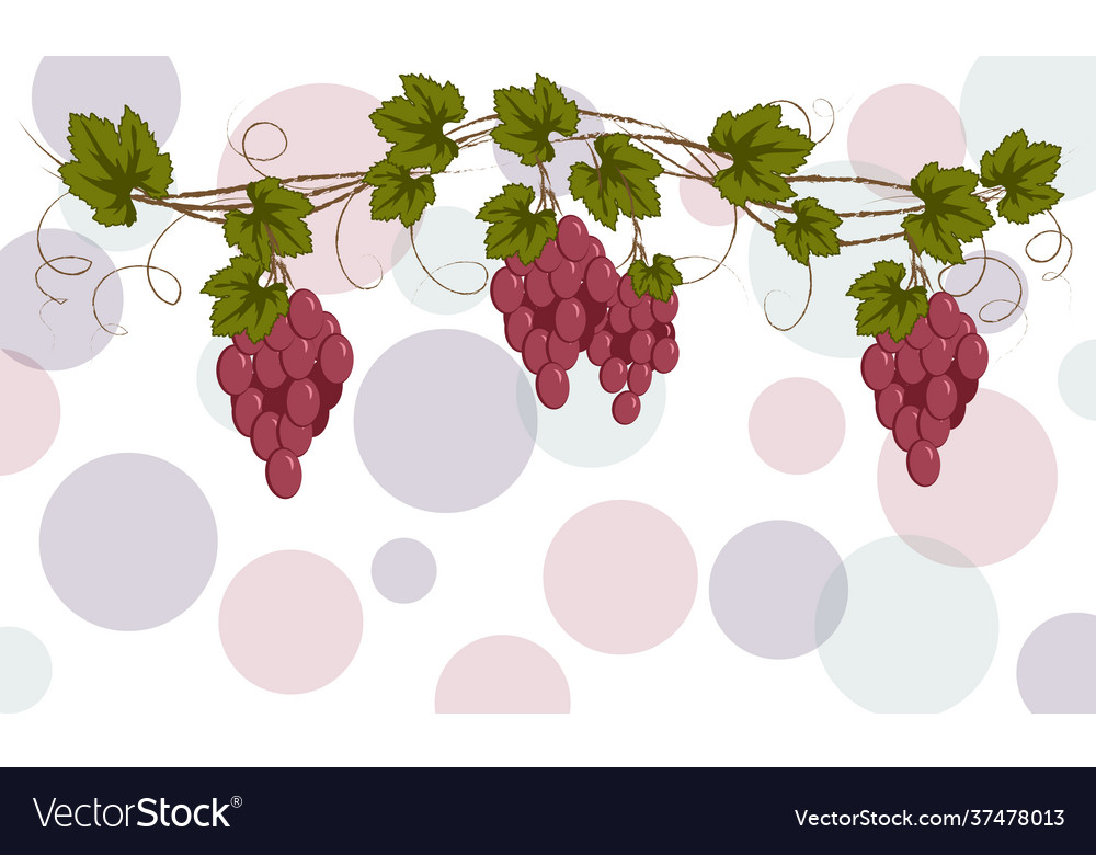 Garland Burgundy Vine For Labeling Menu Royalty Free Vector