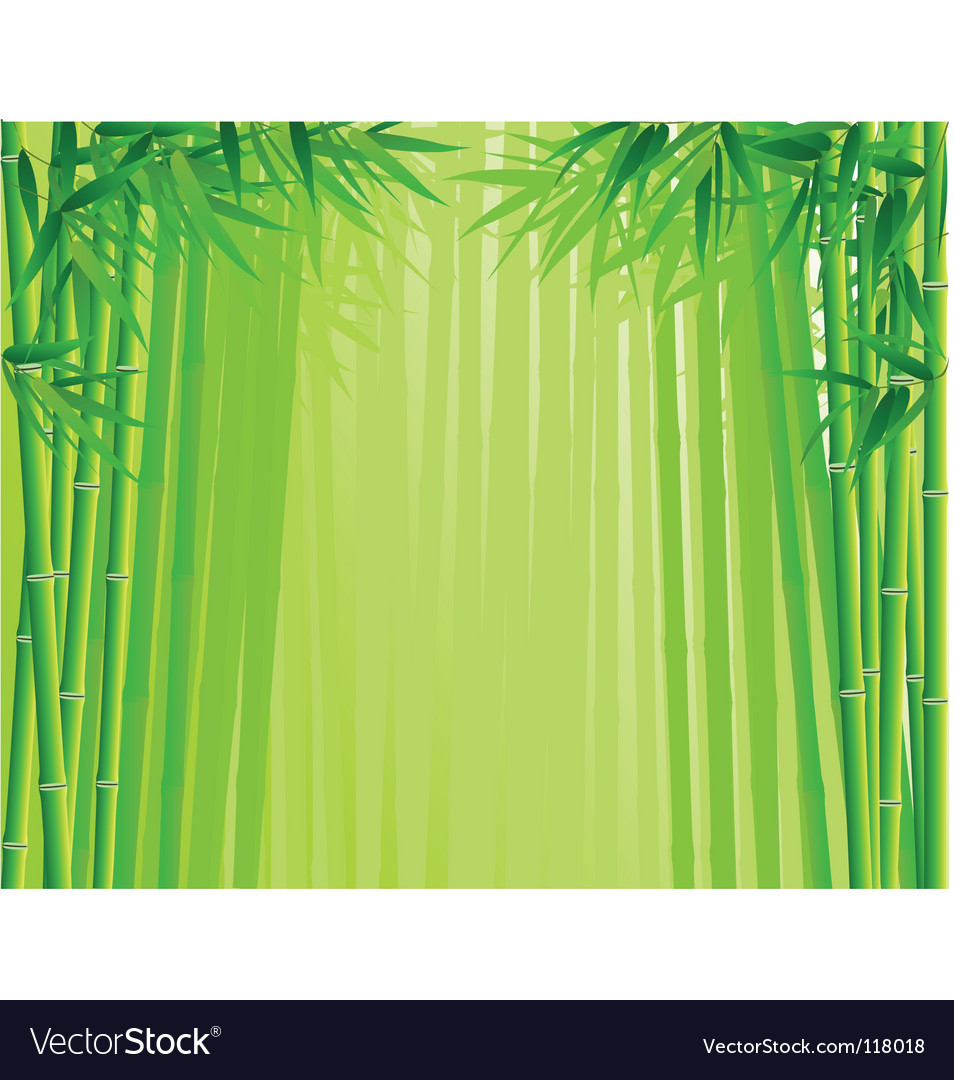 Bamboo forest Royalty Free Vector Image - VectorStock