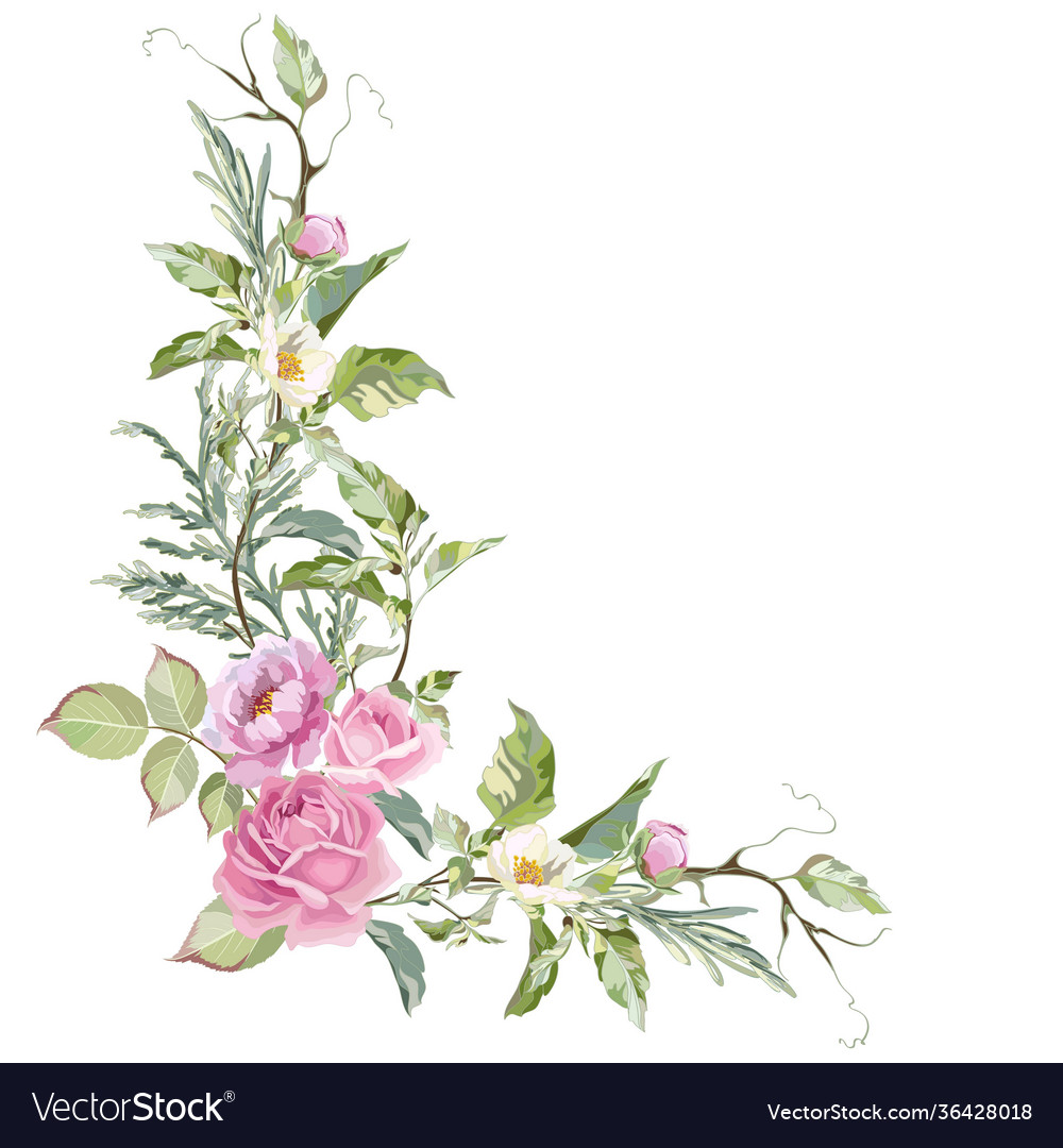 Ink Rose Peony And Jasmine Royalty Free Vector Image