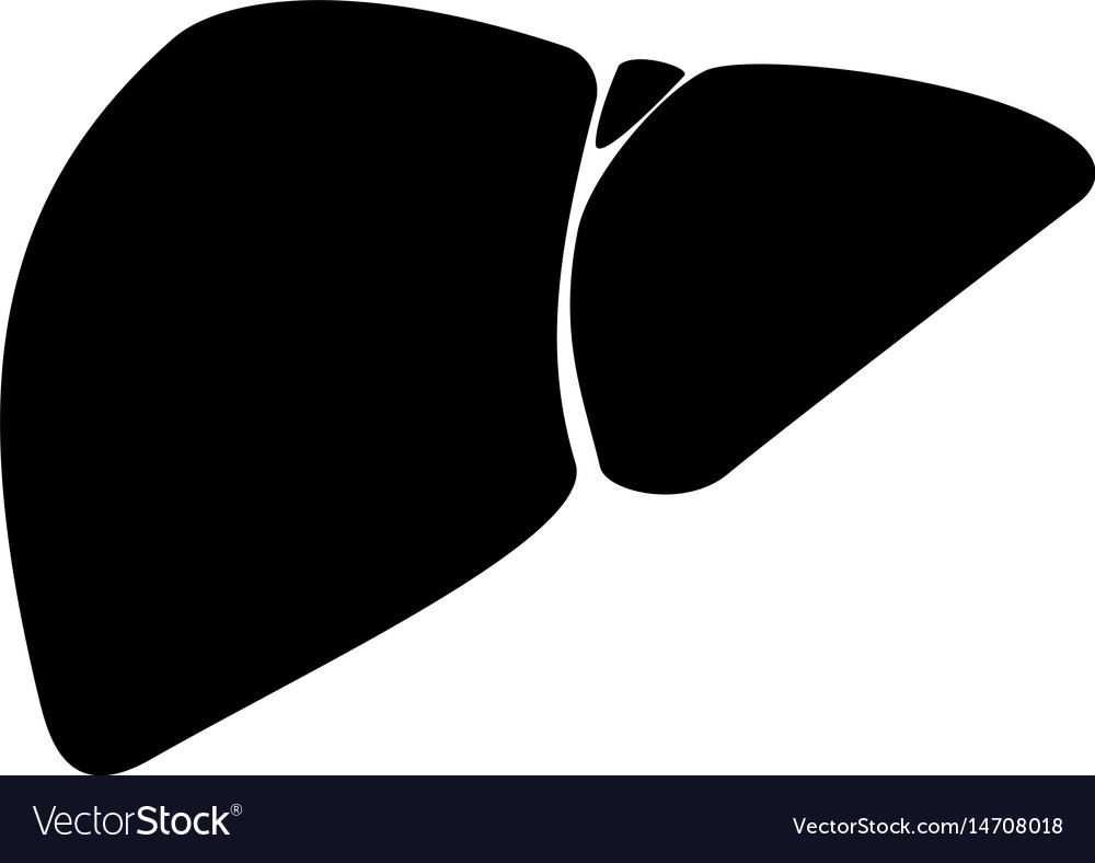 The Liver Black Color Icon Royalty Free Vector Image 2049