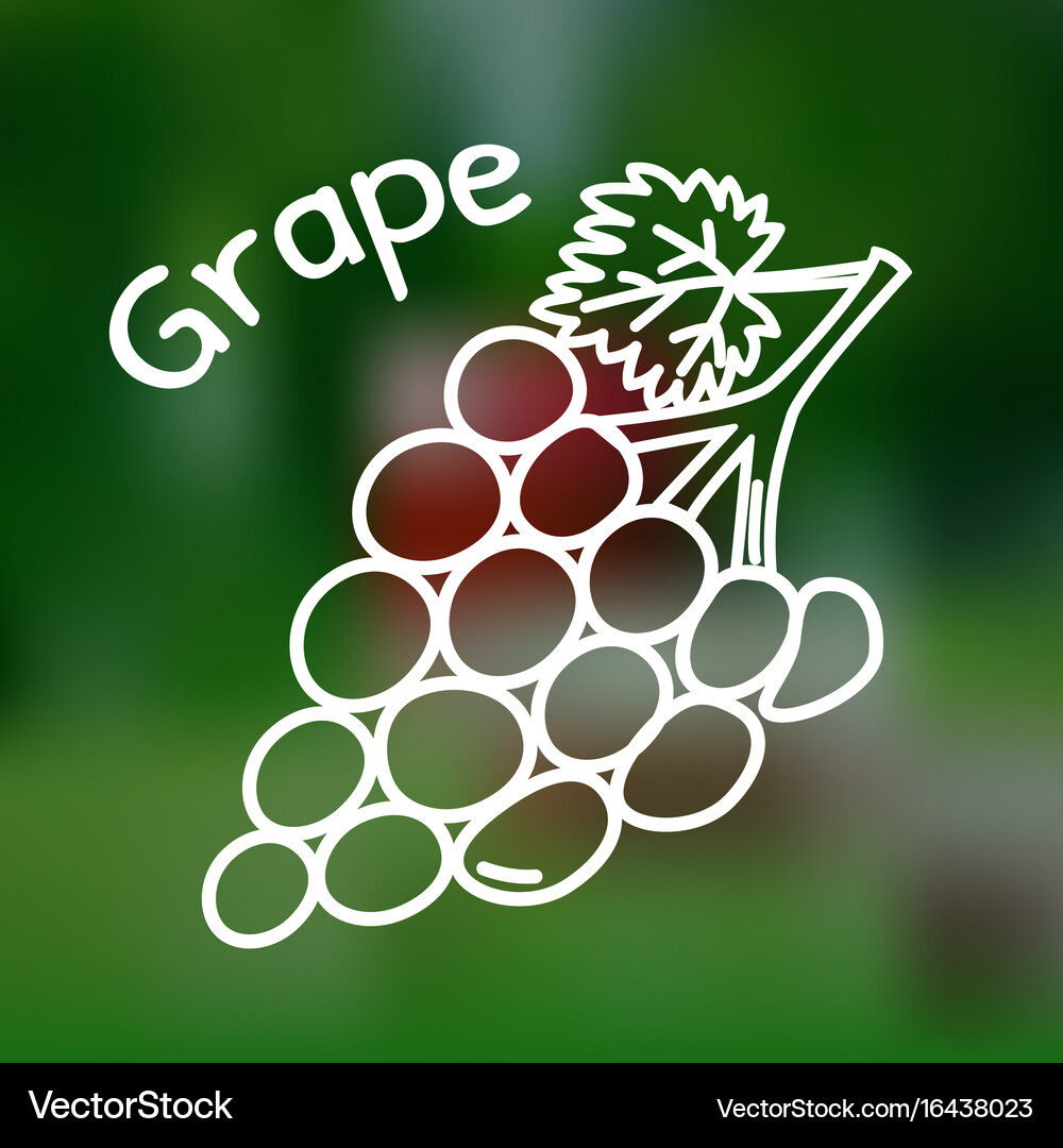 Thin line grape icon Royalty Free Vector Image