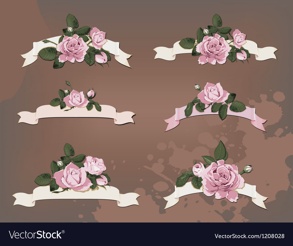 Collection of a different ribbon roses