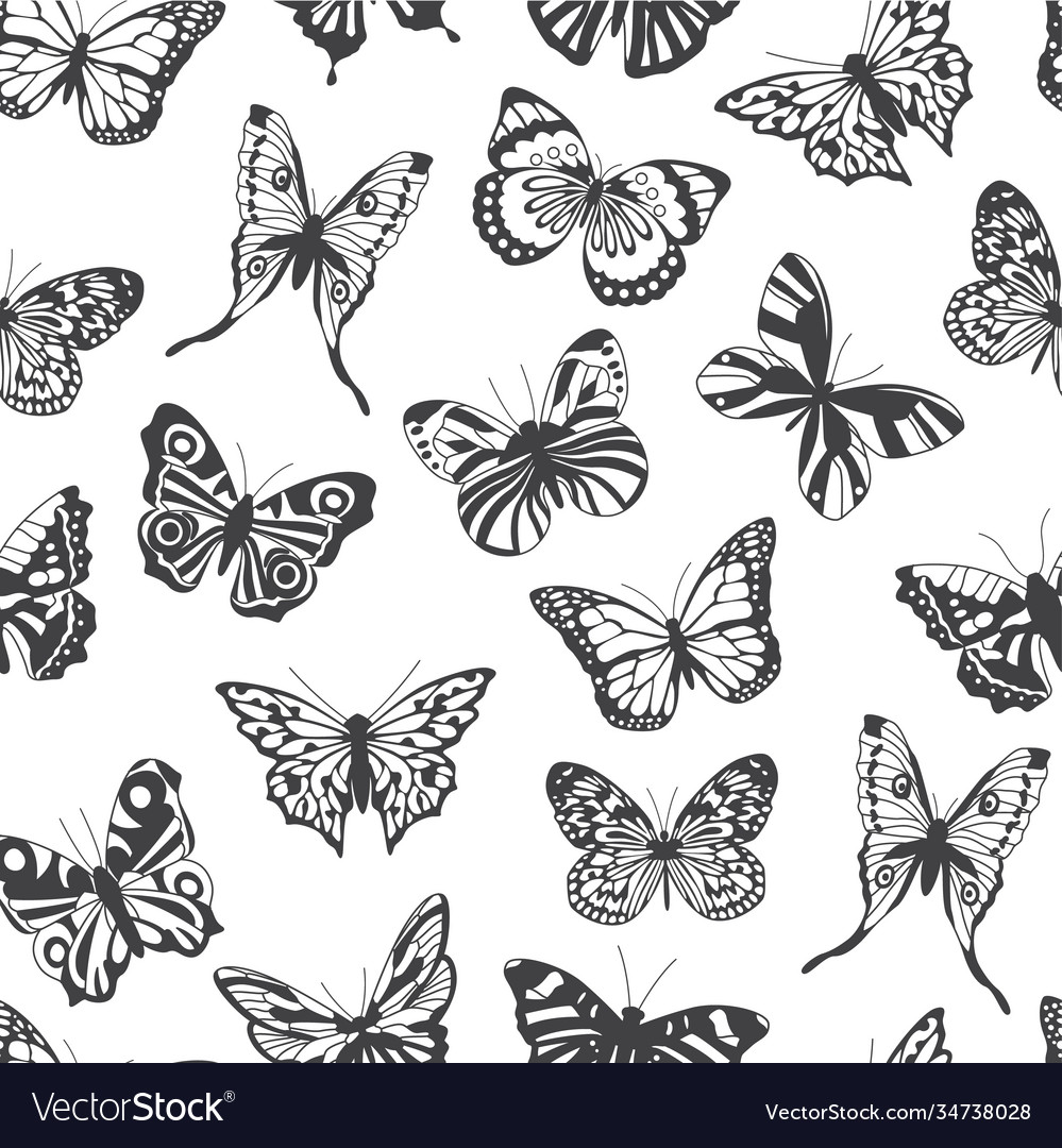 Seamless pattern with line images butterflies Vector Image