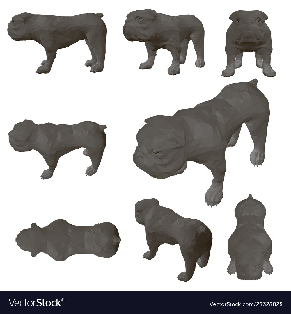 Set with polygonal bulldog different view vector image Set with polygonal bulldog different view