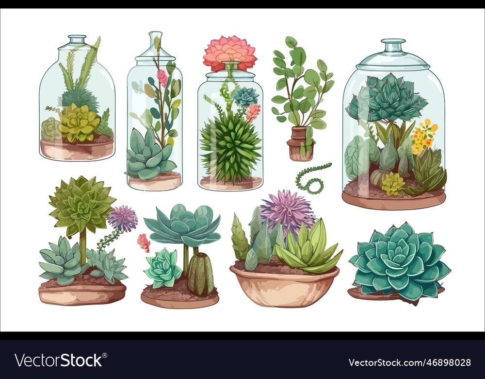 Succulent plants isolated on background cartoon Vector Image