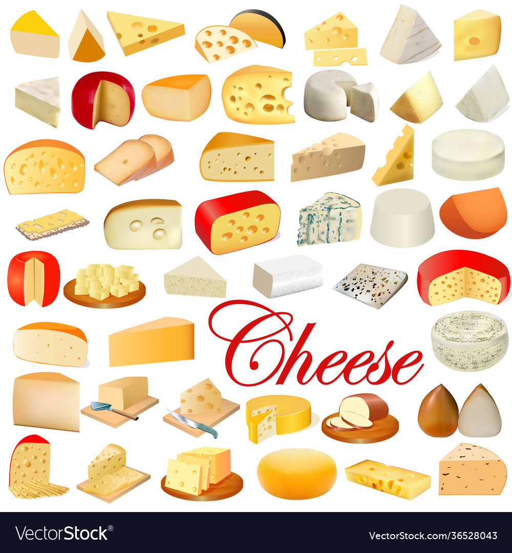 Different types of cheese Royalty Free Vector Image