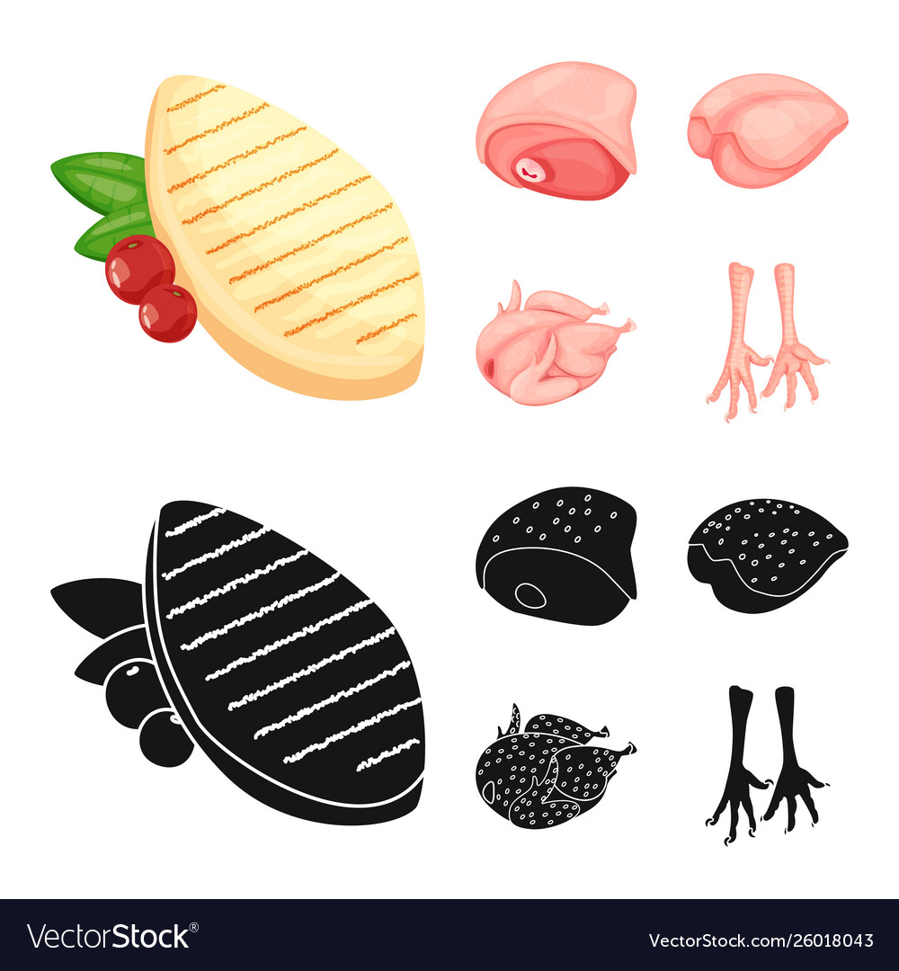Isolated object product and poultry symbol set vector image Isolated object product and poultry symbol set