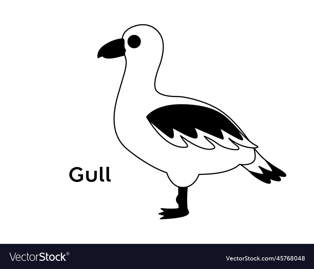 Gull isolated silhouettes