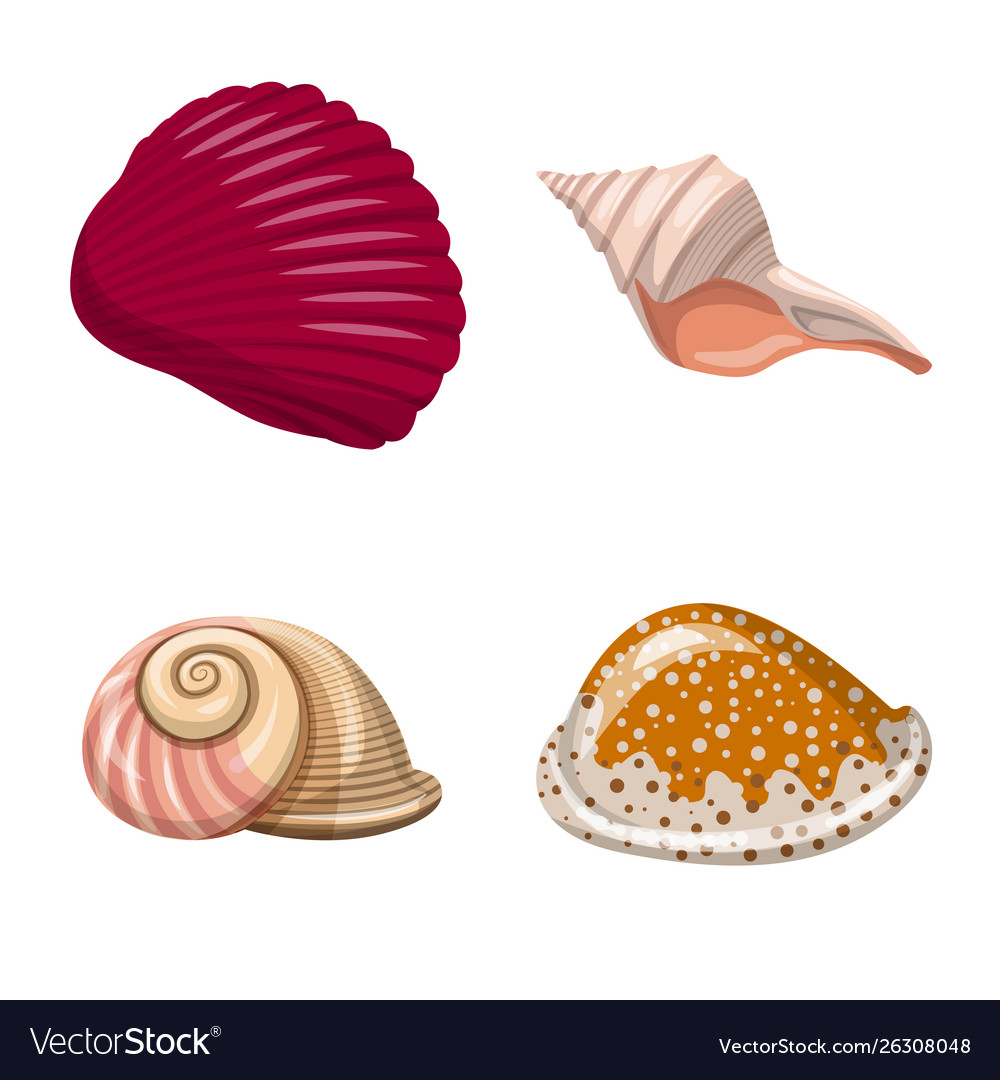 Isolated object seashell and mollusk logo