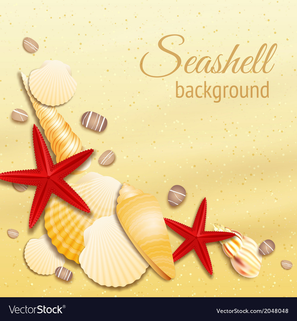 Seashell sand background poster Royalty Free Vector Image