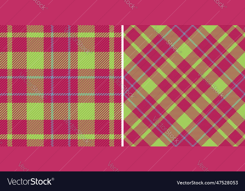 Seamless texture textile of background check vector image Seamless texture textile of background check