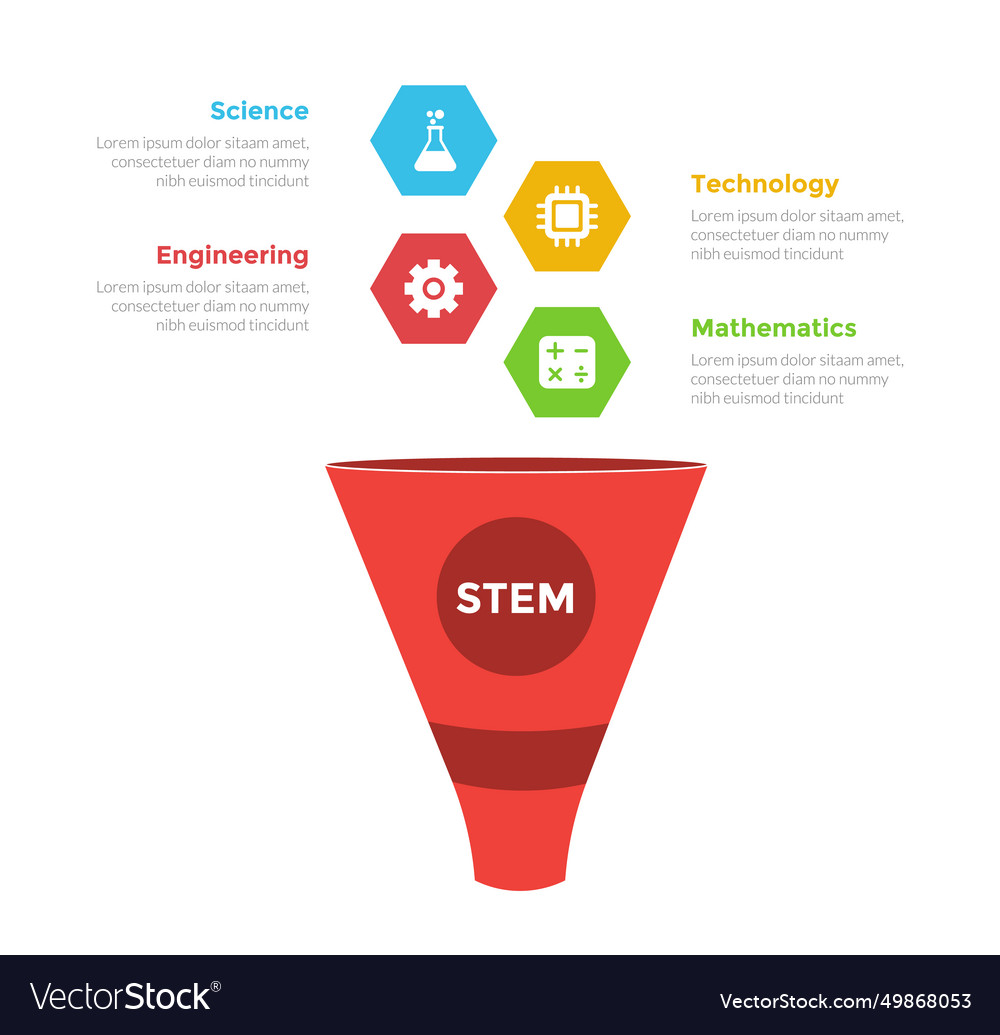 Stem education infographics template diagram Vector Image