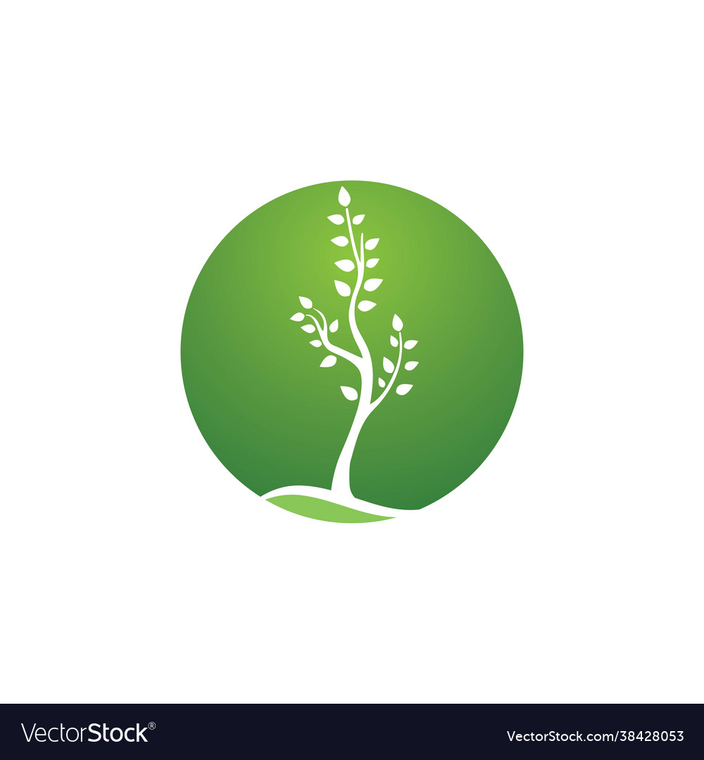 Tree branch design