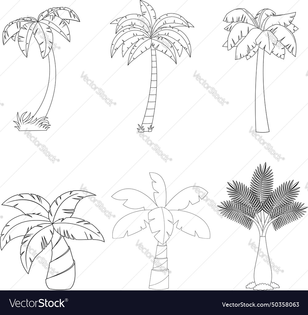 Outlined cartoon different tropical palm tree