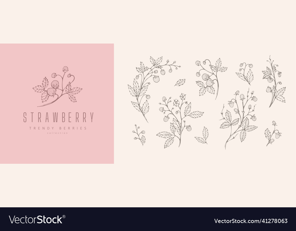 Strawberries floral branch flowers and logo set