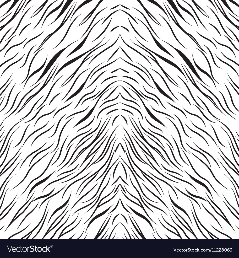 Zebra Print Pattern